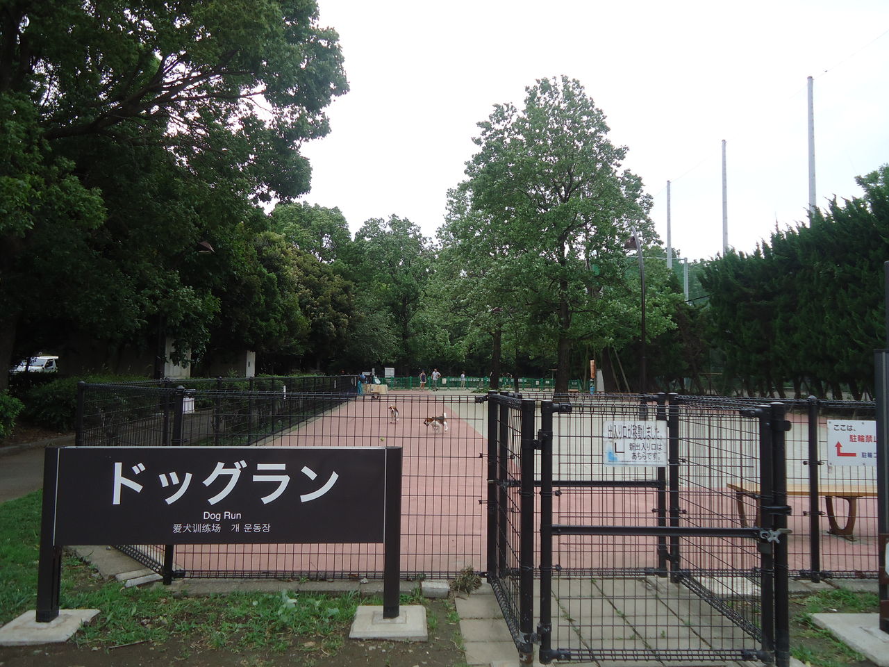 ドッグラン 駒沢 公園