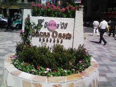�ƥ�����1