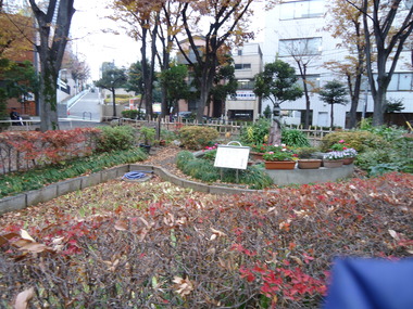 DSC00896