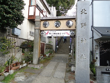 梅 (2)