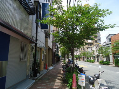 ランチ (3)