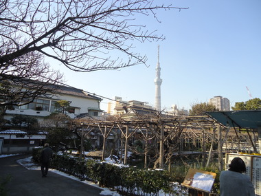 天神 (4)