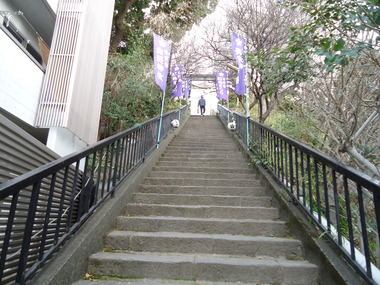 梅 (3)