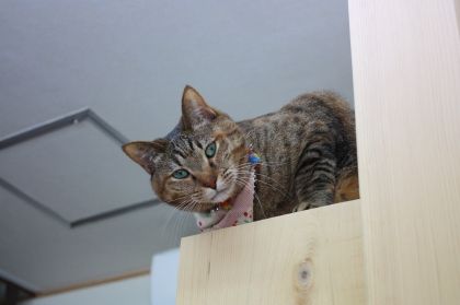 IMG_4905.JPG