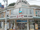 matsuyaume2