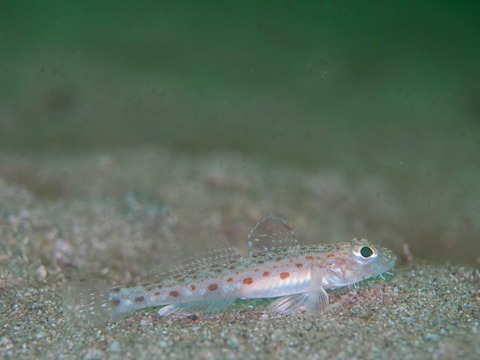 写真 2017-01-20 12 44 01