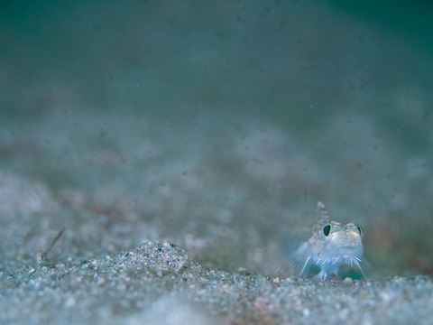 写真 2017-01-20 12 43 03