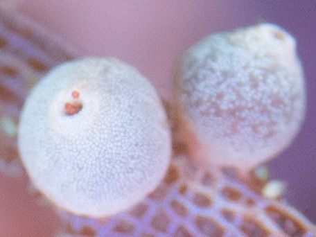 写真 2017-02-10 11 05 09 (2)