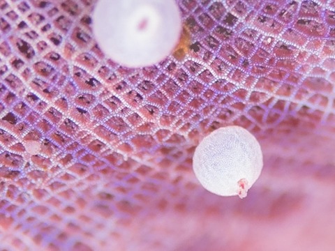 写真 2017-02-10 11 07 09
