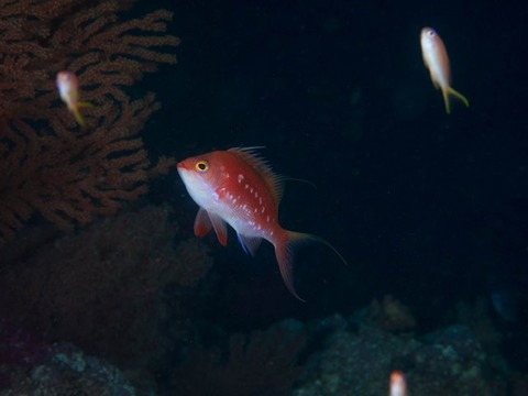 写真 2016-12-25 9 56 35