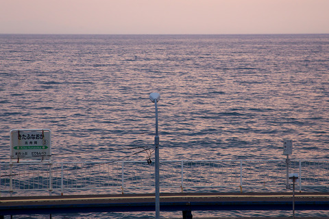 IMG_8804r
