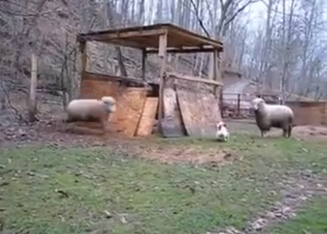 2014-03-31_1734