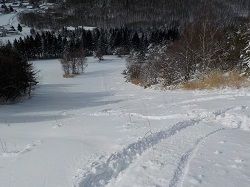 DSCN4280