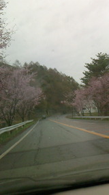 c95640c4.jpg