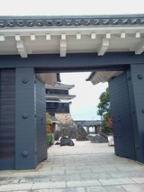 �����룳