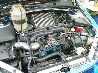 DSC_1293 (2)