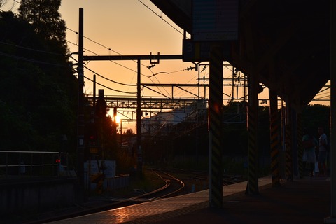 DSC_1461