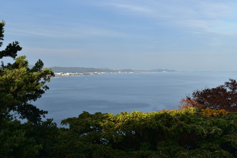 DSC_0181