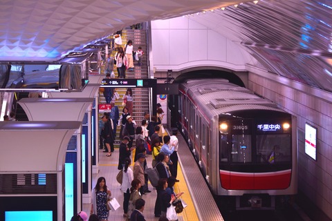 04301646