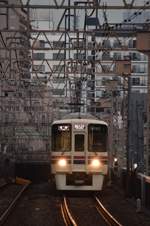 DSC_1067