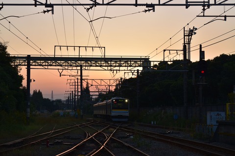 DSC_1466