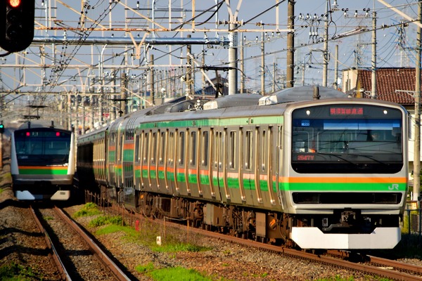 04231624