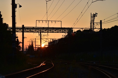 DSC_1463