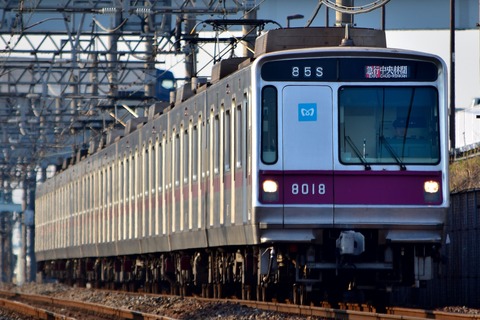 04041621
