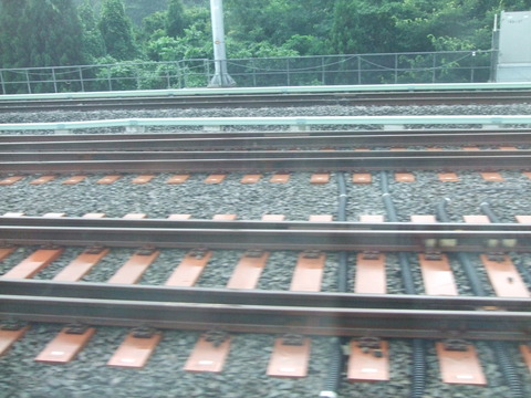 DSCF1249
