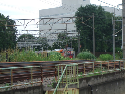 DSCF0626