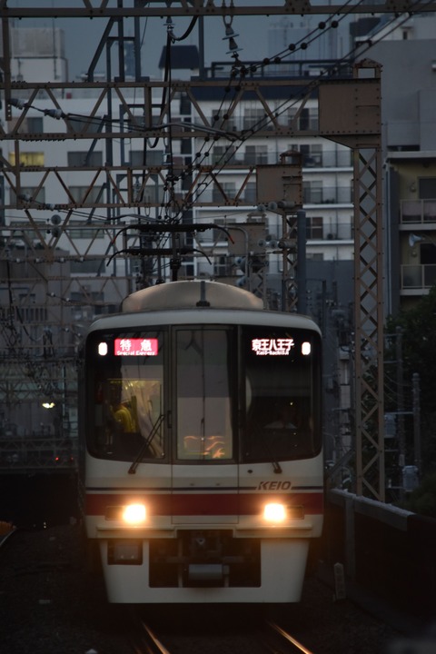 DSC_1073