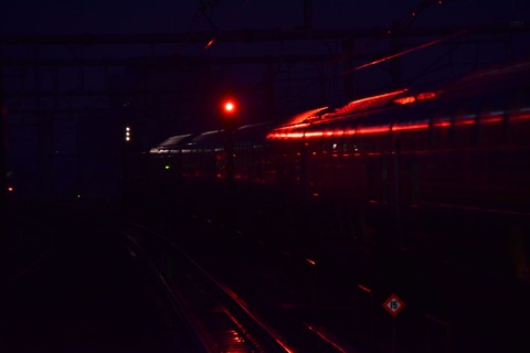 02091737S_17