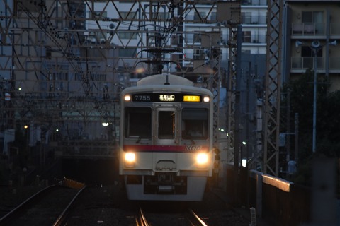 DSC_1082