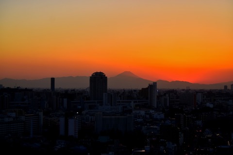 02041708_02