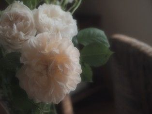 P5171491