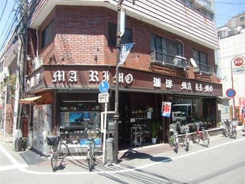マリモの外観
