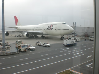 JAL����