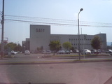 SATY