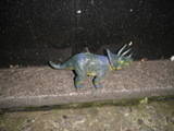 DSC01216