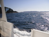 DSC01235
