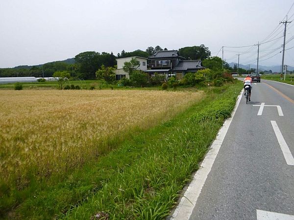 P1000869