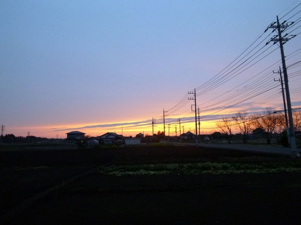 P1000505