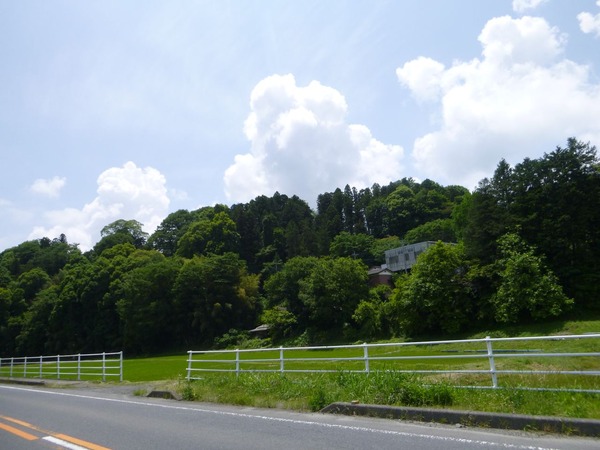 P1000981