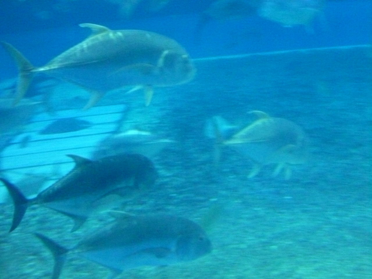 P1040936
