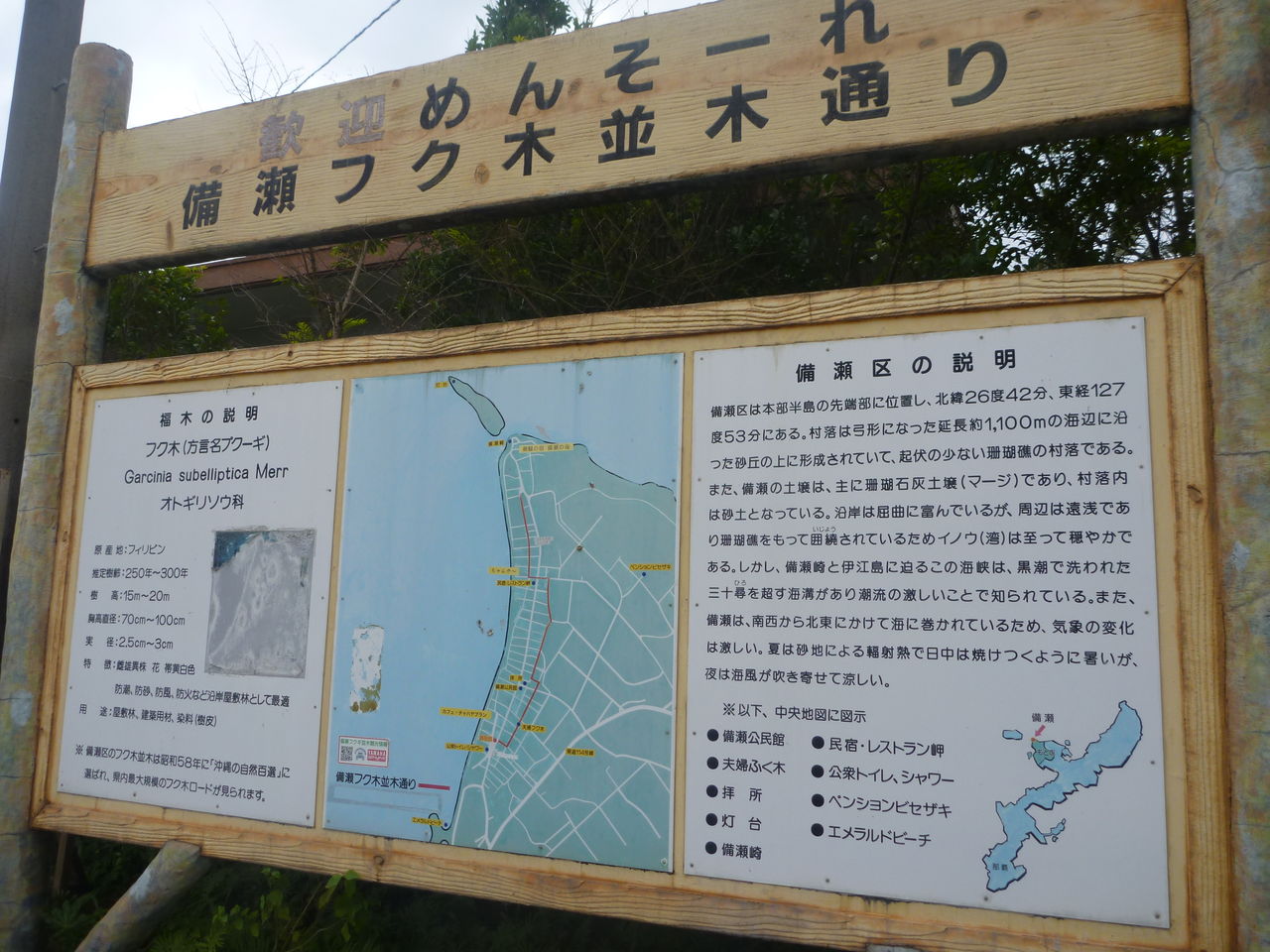 P1040905