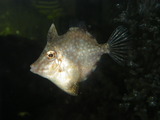 IMGP0485