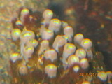 IMGP2041