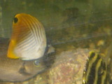 IMGP2876