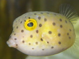 IMGP0918