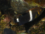 IMGP0026